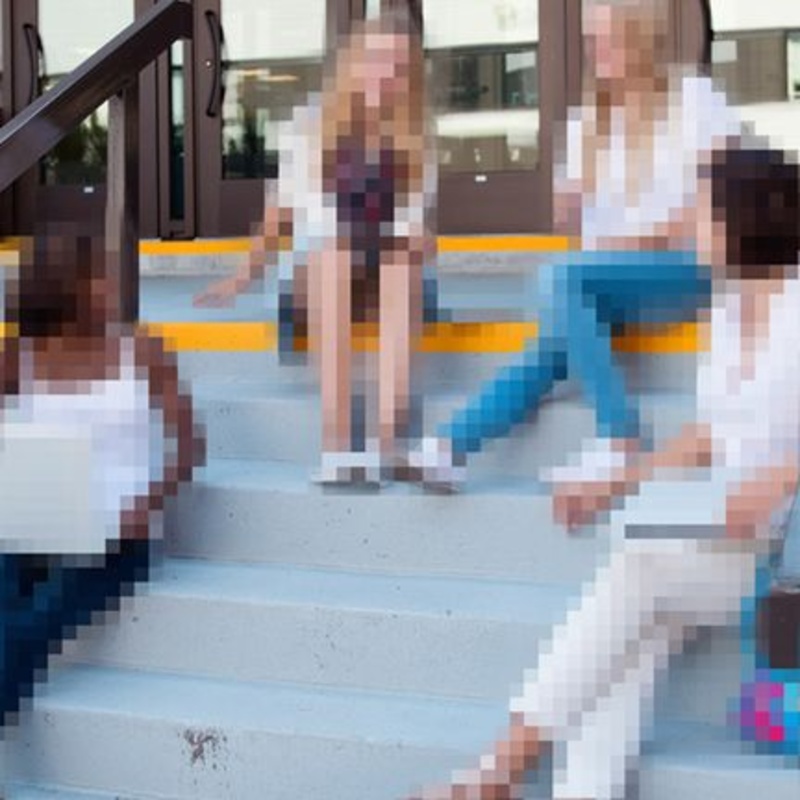 With Cayuga you can pixelate certain private zones or public areas.